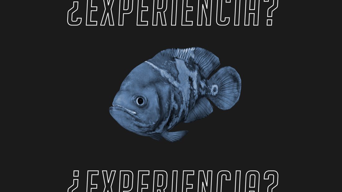 Programa de Prácticas en Empresas